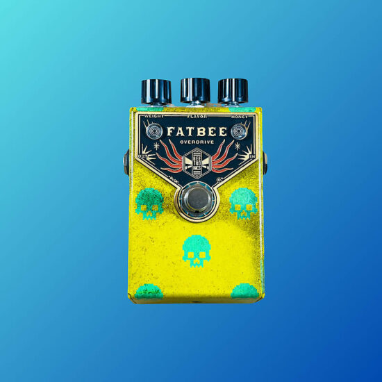 Beetronics Fatbee Custom Shop