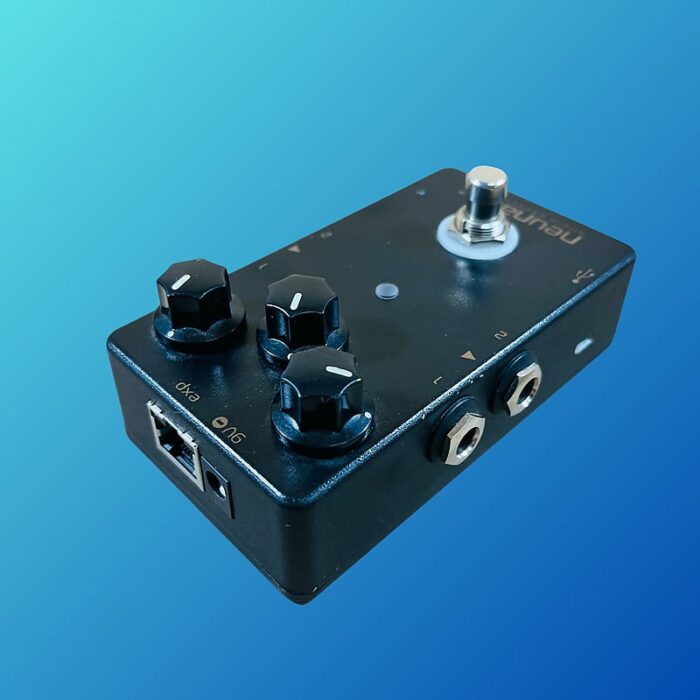 Neunaber Audio Expanse Series 2010s Slate - Image 4