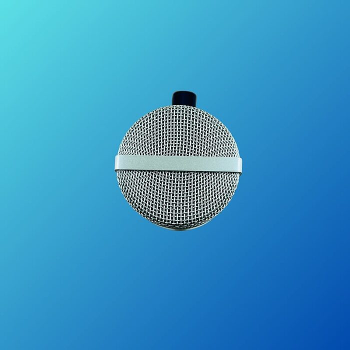 MXL 990 Condenser Microphone 2010s Metal - Image 4