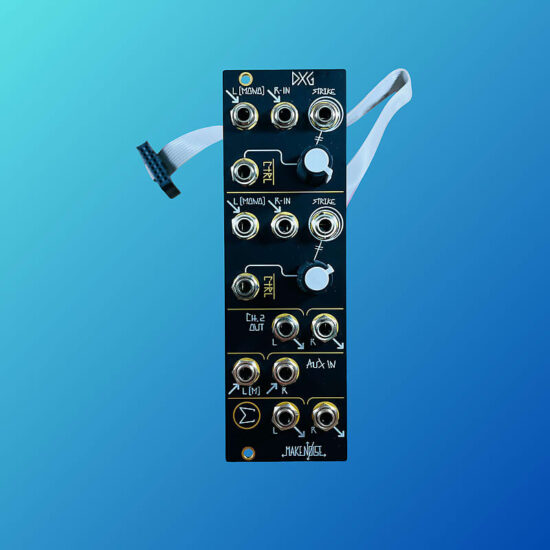 Make Noise DXG Module