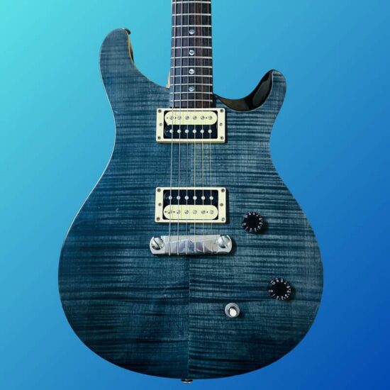 PRS SE Custom 22 2005 - 2009